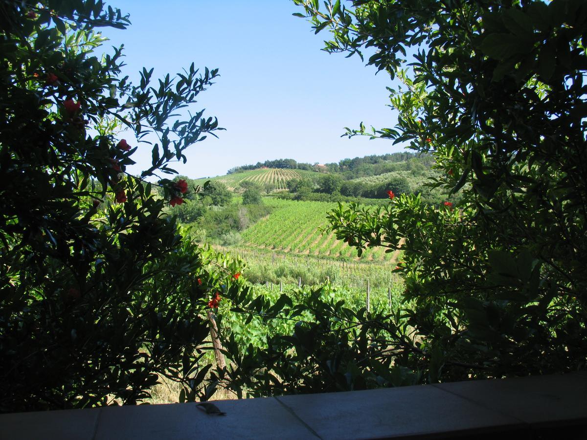 Piccolo Sole Vila Montescudaio Exterior foto