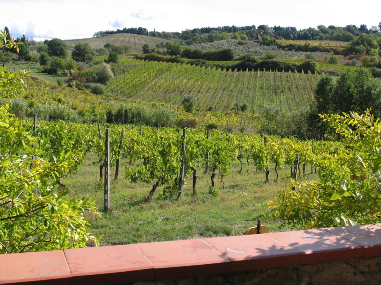 Piccolo Sole Vila Montescudaio Exterior foto
